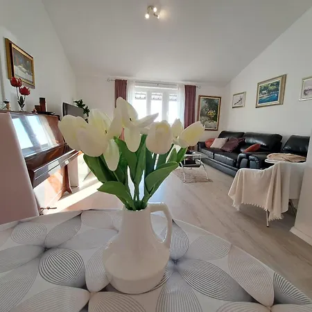 Apartment The View *